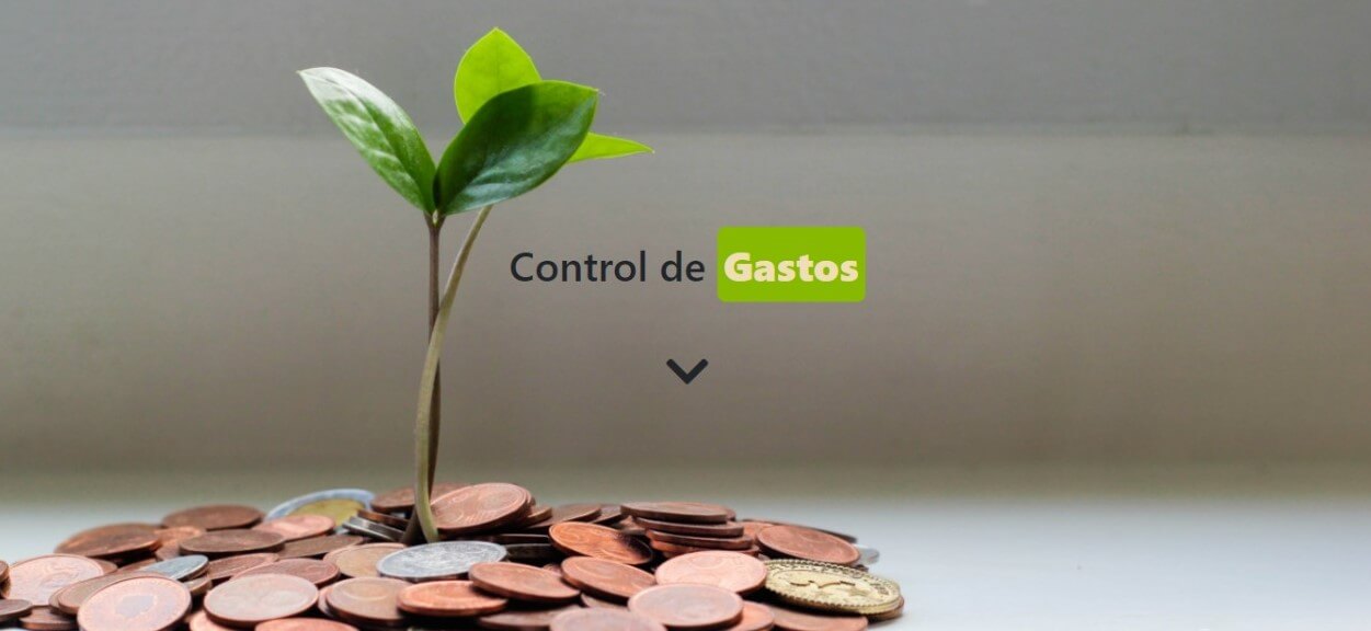 proyecto en JAVASCRIPT